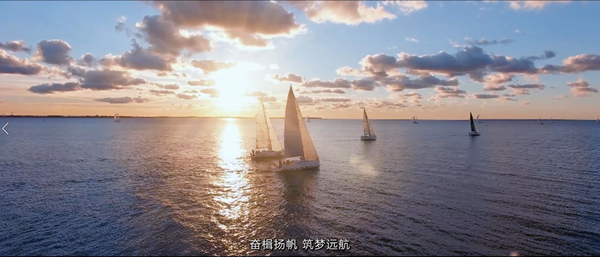 ����鮲��� ���ζ�����
